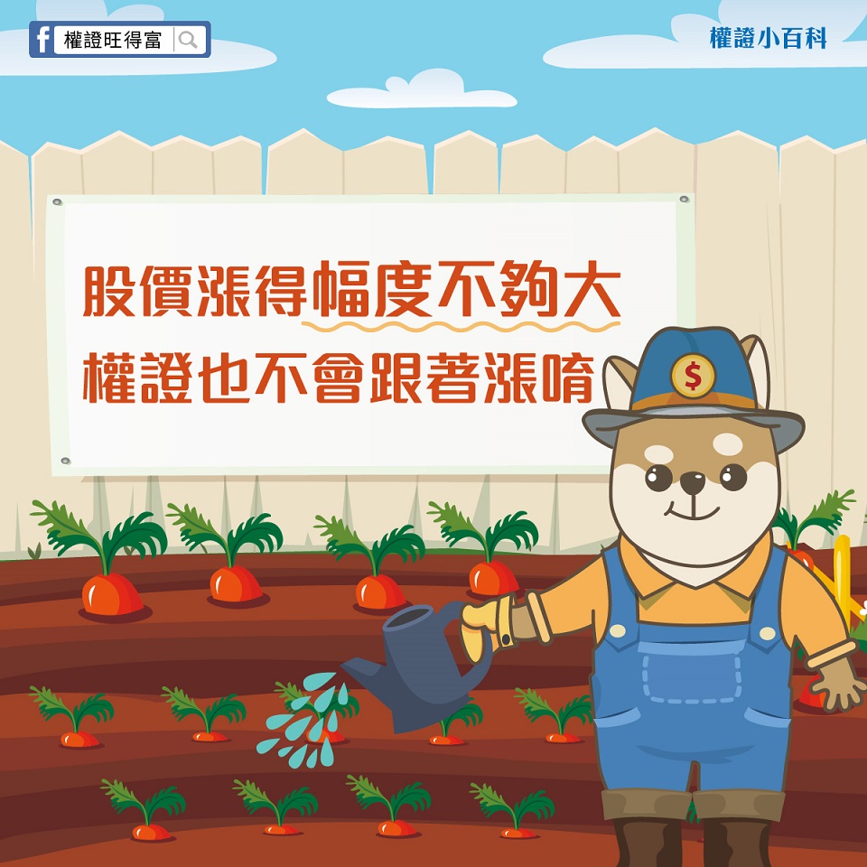 股票漲怎麼權證沒有漲呢？